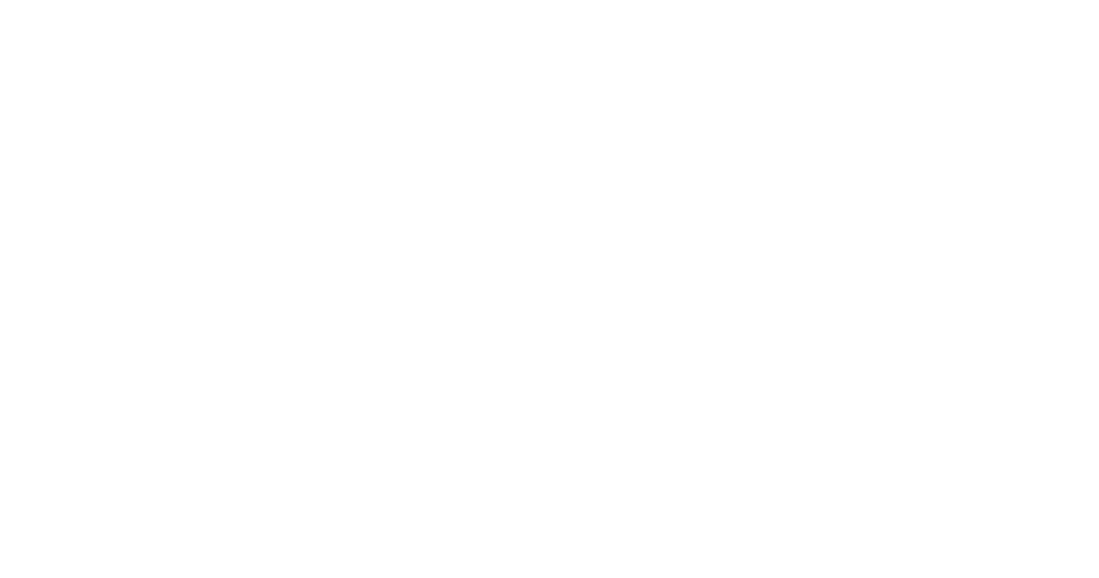 APB White Logo